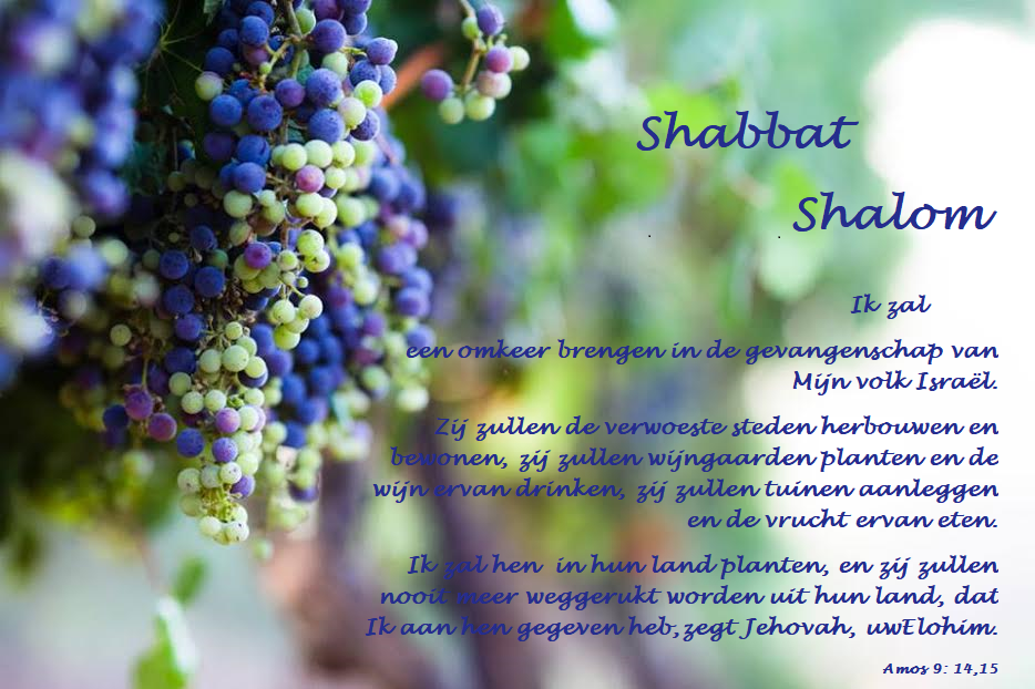 Shabbat Acharei Mot – Kedoshim