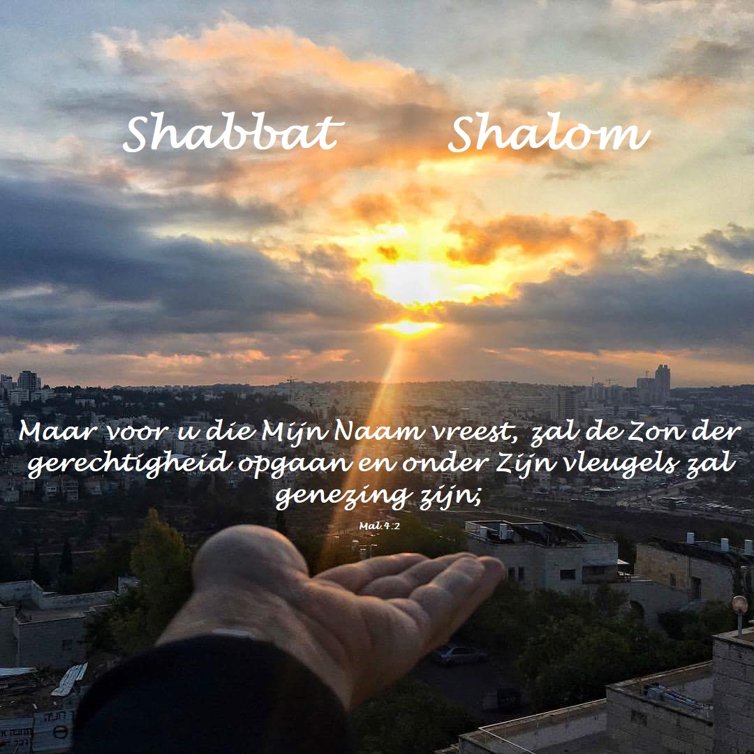 Shabbat Tazria – Metzora