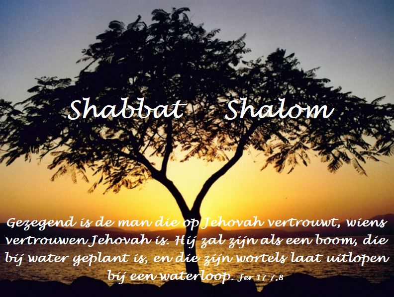 Shabbat Behar – Bechukotai